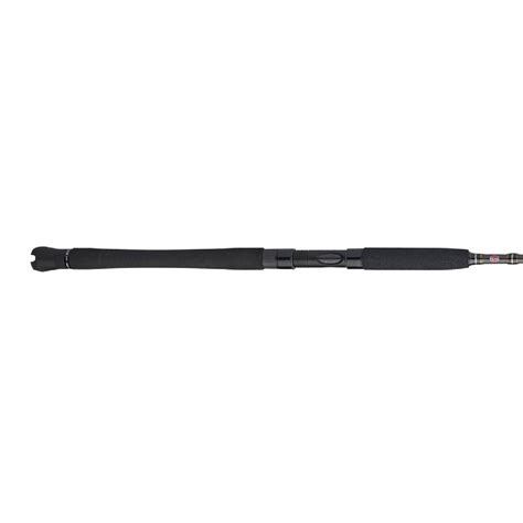 PENN Carnage III Inshore Saltwater Spinning Rod | Sportsman's Warehouse