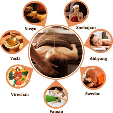 Ayurveda & Panchakarma – We5 Ayurveda