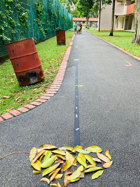 Image result for Build Scale Model Solar System