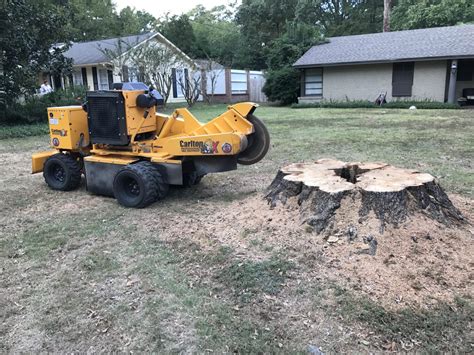 Stump Grinding Service Wetumpka | Tree Stump Removal