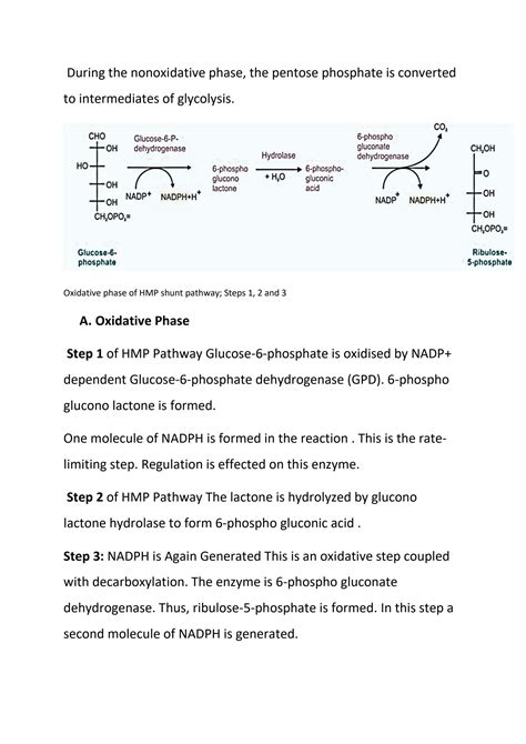 SOLUTION: Hexose monophosphate hmp shunt pathway - Studypool