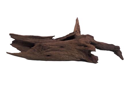 Driftwood for Aquairum Root & Cave 40 CM Long : Amazon.in: Pet Supplies