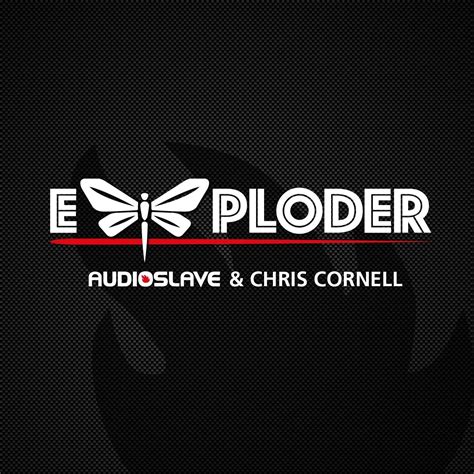 Rezultat imagine pentru Chris Cornell Audioslave Exploder