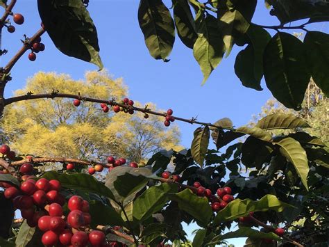 4 WHEELING TANZANIA (2025) All You Need to Know BEFORE You Go (with ...