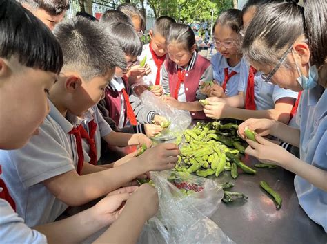 小学生在食堂学做饭高清图片下载-正版图片502099676-摄图网