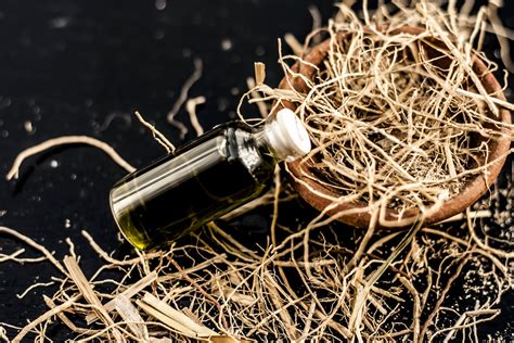 The Versatility of Vetiver | St Johns Fragrance Co LLC™ St Johns Bay ...