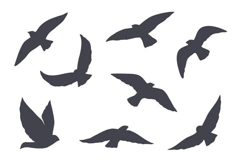 Set of vector birds silhouettes 10922437 Vector Art at Vecteezy