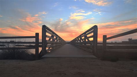 Bolsa Chica Ecological Reserve, Huntington Beach, CA - California Beaches