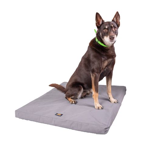Canvas Dog Bed – Contour Built