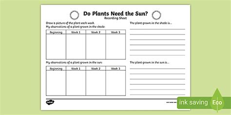 TAS Do Plants Need the Sun? Experiment (teacher made)