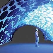 Image result for biomorphic