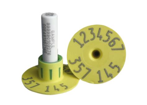 Una manera económica y eficiente para tomar muestras de tejido.