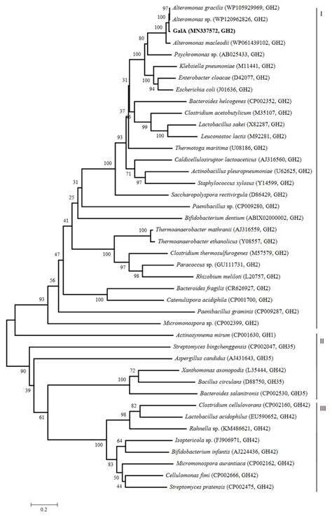 A New β-Galactosidase from the Antarctic Bacterium Alteromonas sp ...