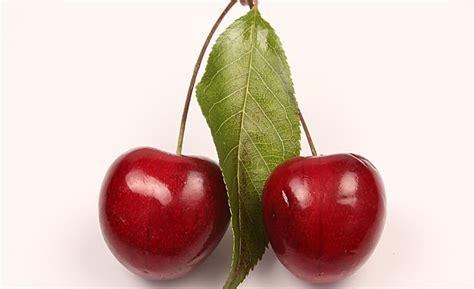 吃樱桃的好处与坏处 樱桃的功效与作用 - 农业百科