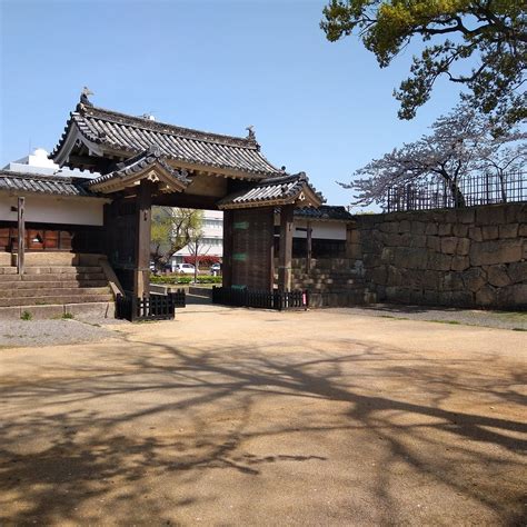 MARUGAME CASTLE - OTE NI NO MON - All You Need to Know BEFORE You Go ...