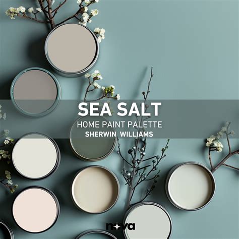 SEA SALT Sherwin Williams Color Palette Whole House Paint Palette Modern Coastal Style Best ...