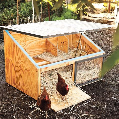 Easy Chicken Coop Plans For 5 Hens at Edith Andre blog