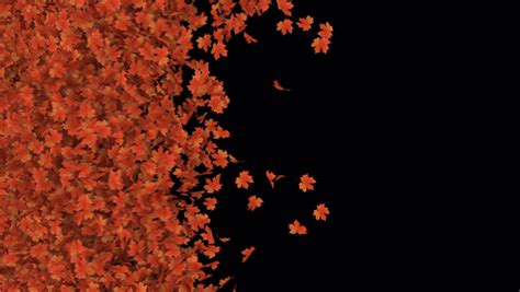 Image result for Fall Background Video Loop