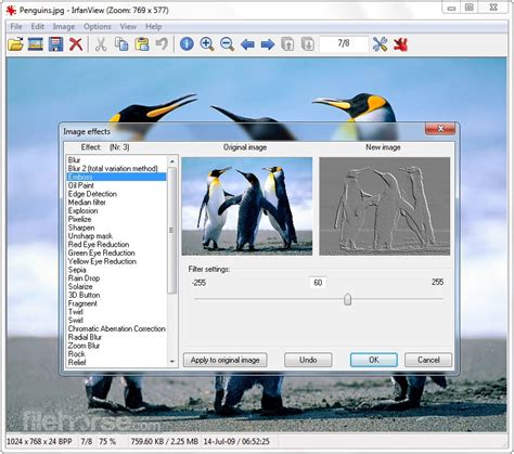 Image result for Photo Viewer Software