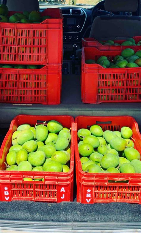 Buy Alphonso Mango Online - Home Delivered - Naturally Ripened ...