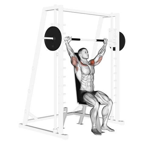 Image result for Handstand Push-Up Muscles Worked