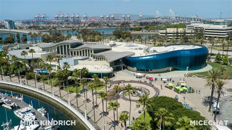 Long Beach Aquarium Logo Shark Lagoon, Aquarium Of The Pacific, Long