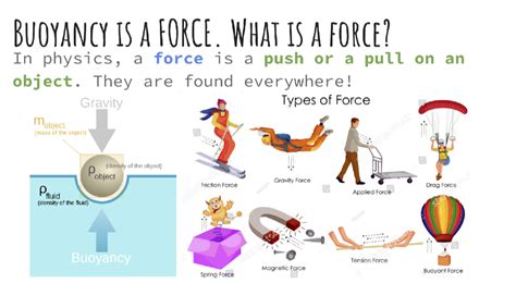 Forces Examples 的图像结果