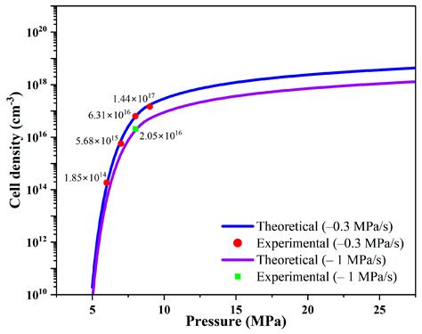 Modeling and Experimental Validation of Cell Morphology in ...