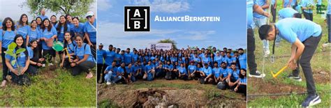 "Alliance Bernstein’s Step Toward Greener Cities with Urban Forest ...