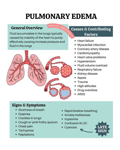 Pulmonary Edema Pathophysiology