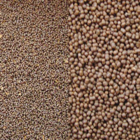 BCUK First Bite Tropical Pellets – indianaquarium.com