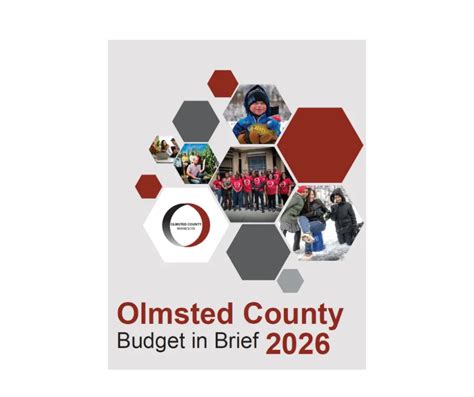 | Olmsted County, MN