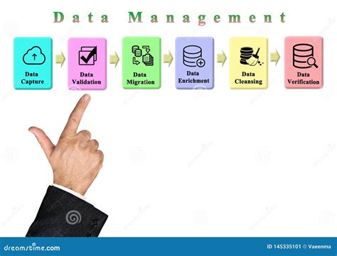 Data Management Process 的图像结果