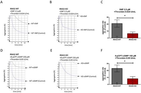 Function of IRAG2 Is Modulated by NO/cGMP in Murine Platelets