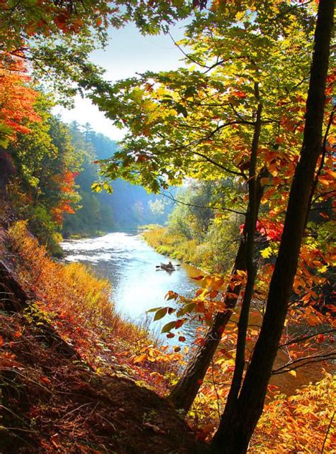 Fall 的图像结果