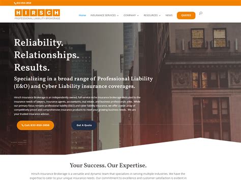 Website Examples 的图像结果