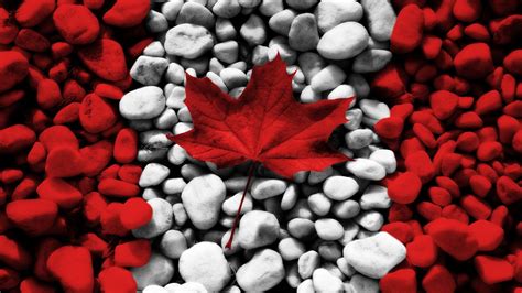 Image result for Alien Tiles Coding Solution