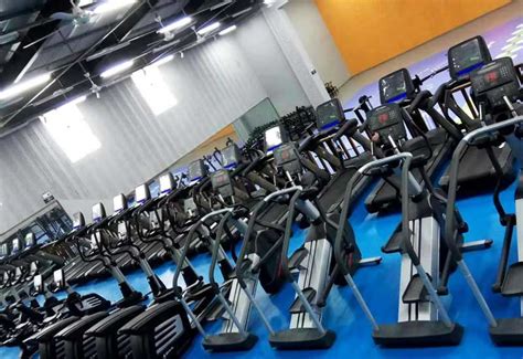 武汉舒华运动器材在高校健身房应用方案-武汉舒华动力体育用品有限公司