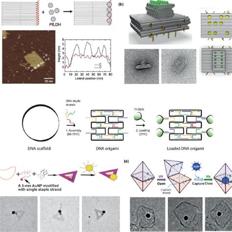 Image result for DNA Origami Applications