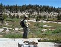 Graduate Student Uses Llamas to Continue Research in Yosemite | Newsroom