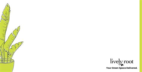 Pink Carnations Meaning: Symbolic Significance on Mother’s Day