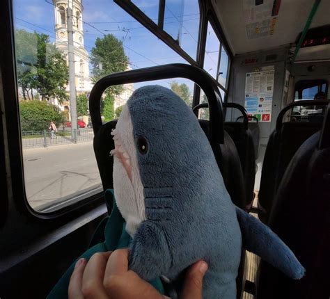 Image result for Blahaj Washing Machine