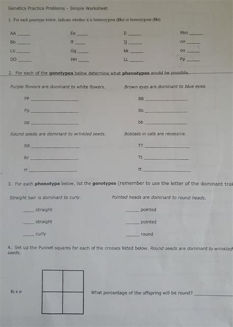 Image result for Simple Genetics Practice Problems Answer Key