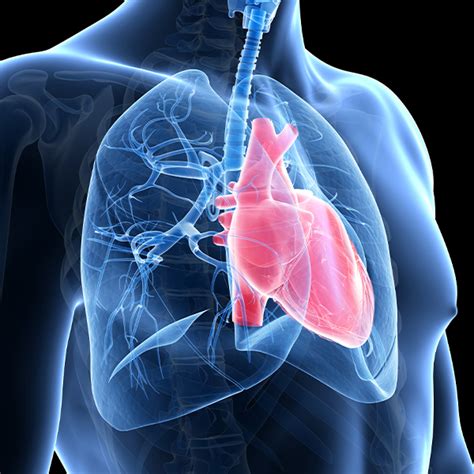 Pulmonary Hypertension: Clinical Manifestations and Management