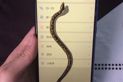 小心，有蛇！_腾讯新闻
