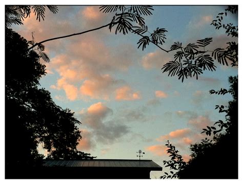 Sunrise Sunset Times of Monteocha Conservation Area, Gainesville, FL ...