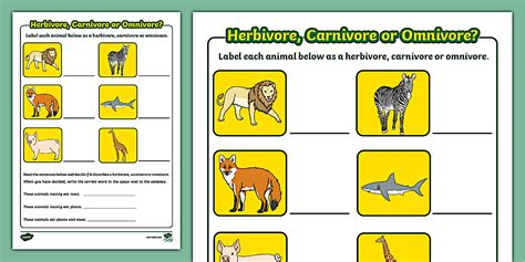 Herbivore, Carnivore or Omnivore Activity Sheet - Twinkl