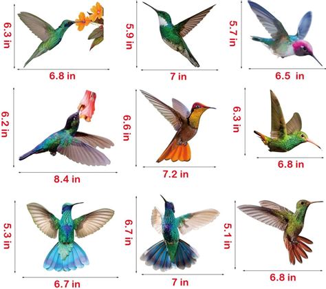 Buy Khakho Hummingbird Window Clings Anti-Collision Window Clings ...