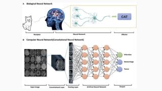 Train Custom Object Detection JS 的图像结果