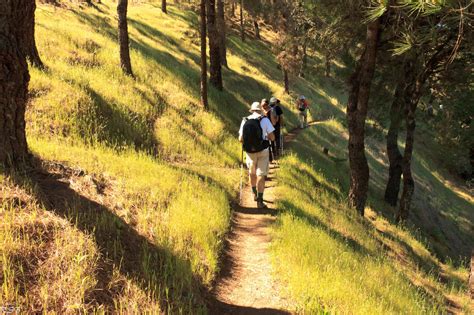 Cinco rutas de senderismo para el otoño en Madrid y alrededores